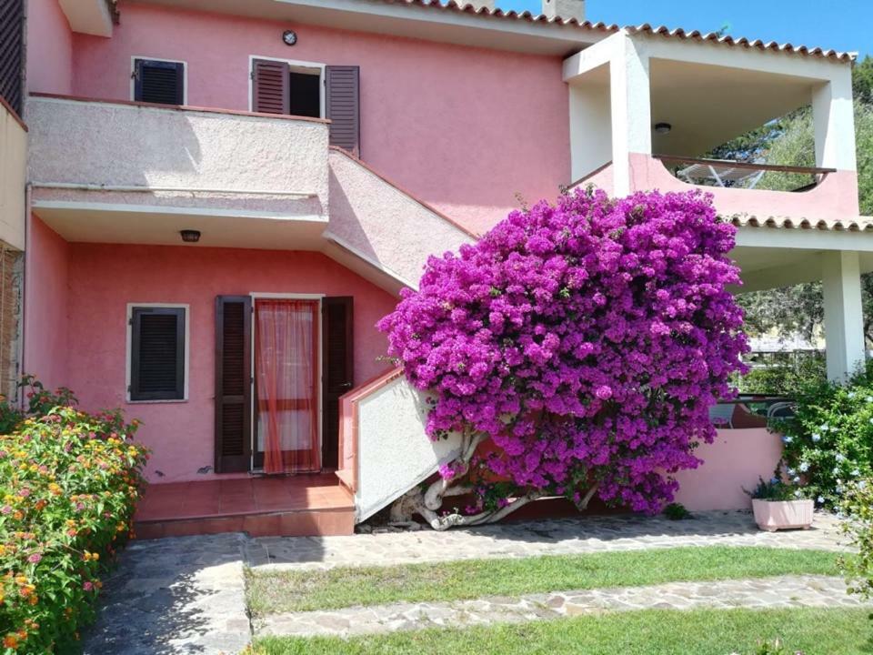 Casa Smeralda Канниджионе Экстерьер фото